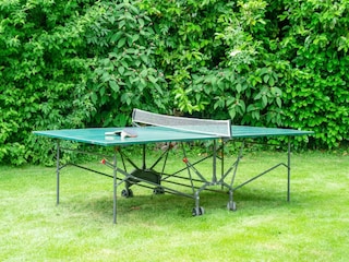 Vakantiehuis De Lutte  35