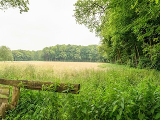 Ferienhaus De Lutte Außenaufnahme 8