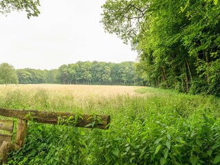 Vakantiehuis De Lutte Buitenaudio-opname 8