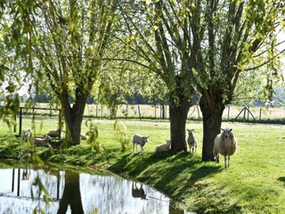 Appartamento Nieuwpoort Ambiente 21