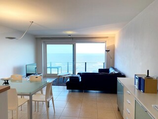 Apartamento Nieuwpoort Características 1