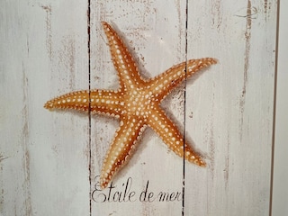 Apartment Nieuwpoort  37