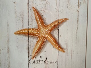 Appartamento Nieuwpoort  32