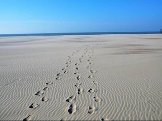 Appartamento Nieuwpoort Ambiente 30