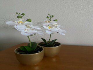 Apartment Nieuwpoort  33