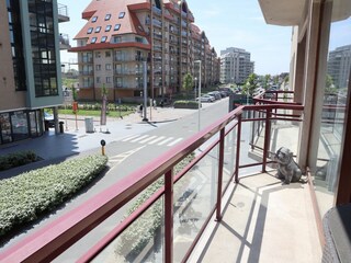 Apartment Nieuwpoort  18