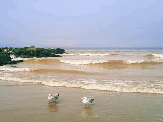 Appartement Nieuwpoort Environnement 11