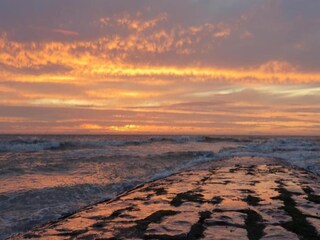 Appartement Nieuwpoort Environnement 24