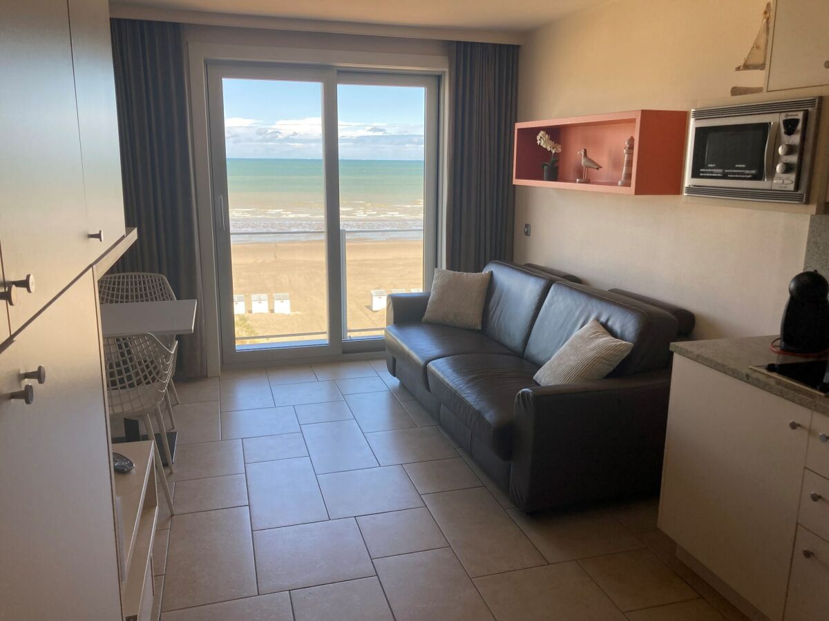 Apartamento Nieuwpoort Características 1