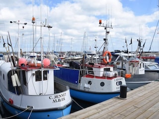 Vakantiehuis Aalbæk  39