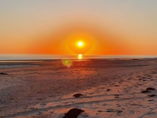 Ferienhaus Havneby  39