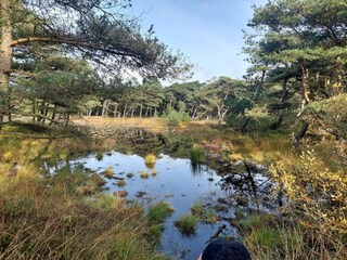 Casa per le vacanze Havneby  33