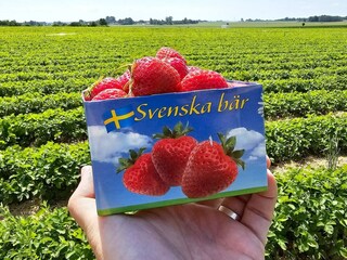 Vakantiehuis Veberöd  15