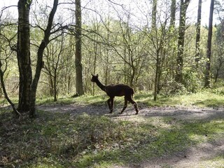 Ferienhaus Veberöd  31