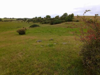 Ferienhaus Veberöd  22