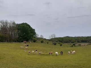 Vakantiehuis Veberöd  16