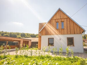 Eco-vriendelijk nieuwgebouwd vakantiehuis - Oostenrijk - image1