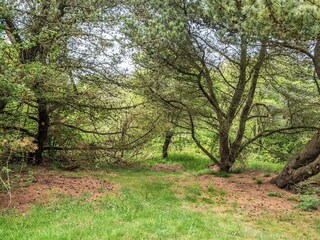 Vakantiehuis Helligsø Buitenaudio-opname 4