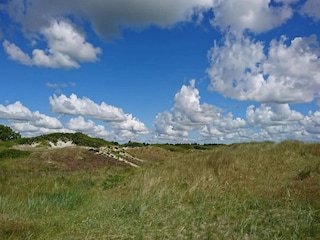 Vakantiehuis Hou  29