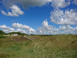 Vakantiehuis Hou  48