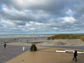 Apartment Nieuwpoort  5