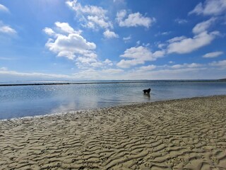 Casa de vacaciones Sint-Maartensdijk Entorno 20