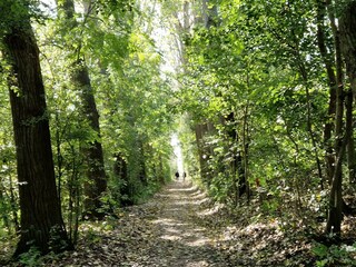 Ferienhaus Sint-Maartensdijk Umgebung 24