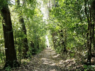 Casa per le vacanze Sint-Maartensdijk Ambiente 27