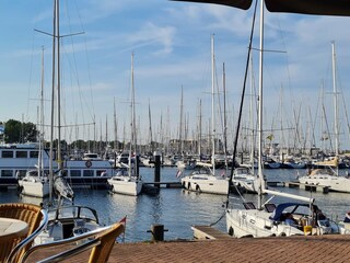Casa de vacaciones Sint-Maartensdijk Entorno 28