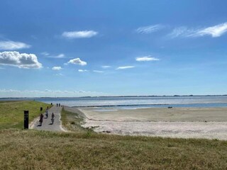Vakantiehuis Sint-Maartensdijk Omgeving 23