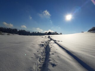 Holiday apartment Scheidegg Outdoor Recording 8