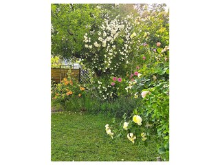 Holiday apartment Scheidegg Outdoor Recording 11