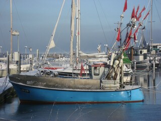 Fischerboot und Segeler in Haffen