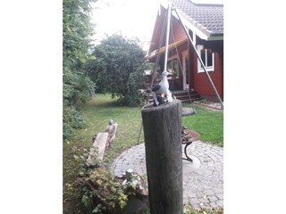 Ferienhaus Langballigau Außenaufnahme 37