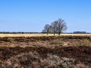 Appartamento per vacanze Gasselternijveen Ambiente 28