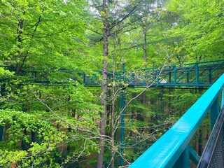 Appartamento per vacanze Gasselternijveen Ambiente 29