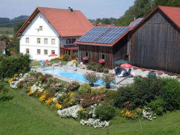 Ferienhof Ferienwohnung Sonnenblume