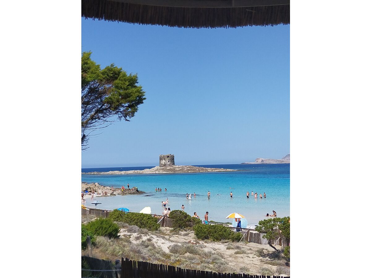 La Pelosa beach