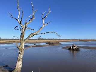 Naturschutzgebiet "Geltinger Birk"