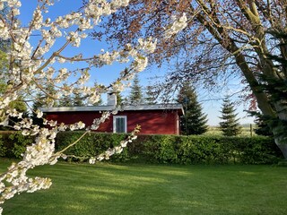 Haus Tannengrün zur Kirschblüte