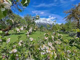 Casa per le vacanze Mitterberg-Sankt Martin Registrazione all'aperto 7