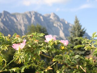 Casa per le vacanze Mitterberg-Sankt Martin Ambiente 21