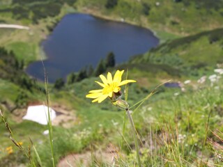 Casa per le vacanze Mitterberg-Sankt Martin Ambiente 20