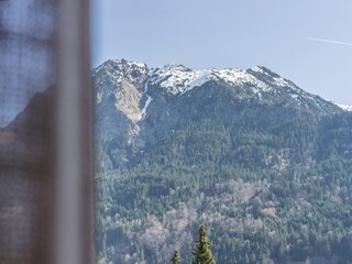 Blick aus dem Fenster