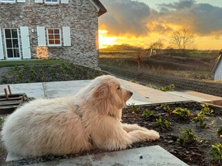Casa per le vacanze Lohme Registrazione all'aperto 7