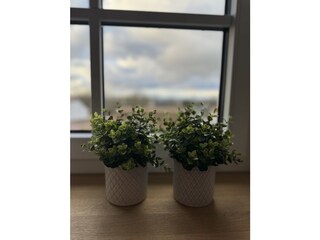 Casa de vacaciones Lohme Características 28