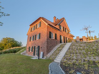 Garden towards the house