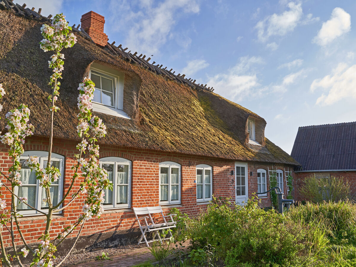 Ferienhaus Reetdachhaus De Ole Kaat