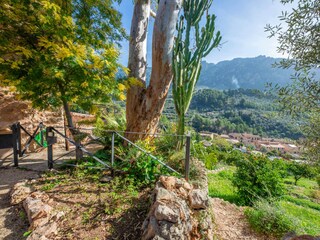 Casa per le vacanze Fornalutx Registrazione all'aperto 8