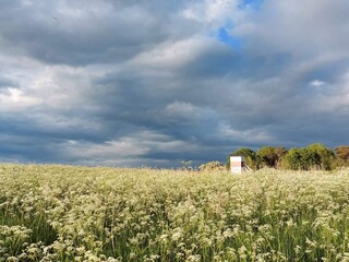 Ferienhaus Stavreby  31